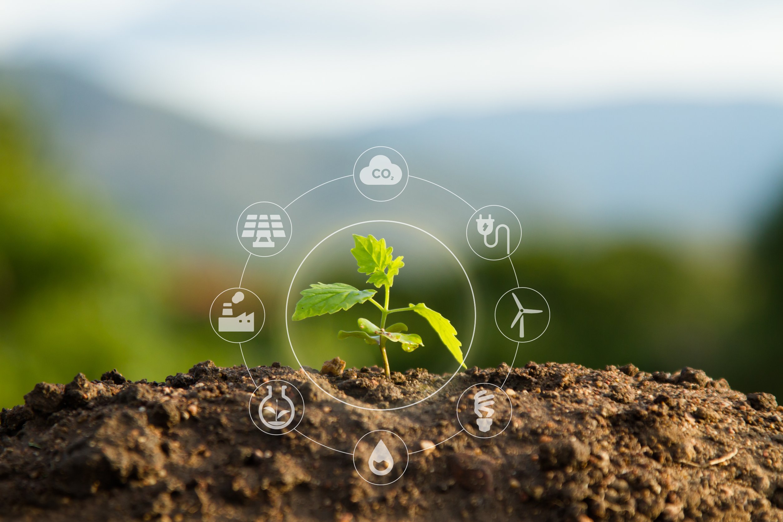 Sustainability and Software Development: Properly Prioritise Your ...